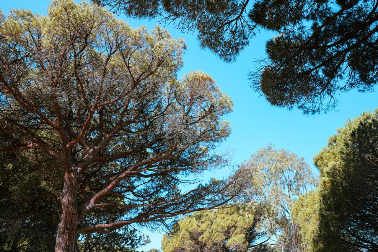 Camping Ladouceur Ramatuelle Exterior foto