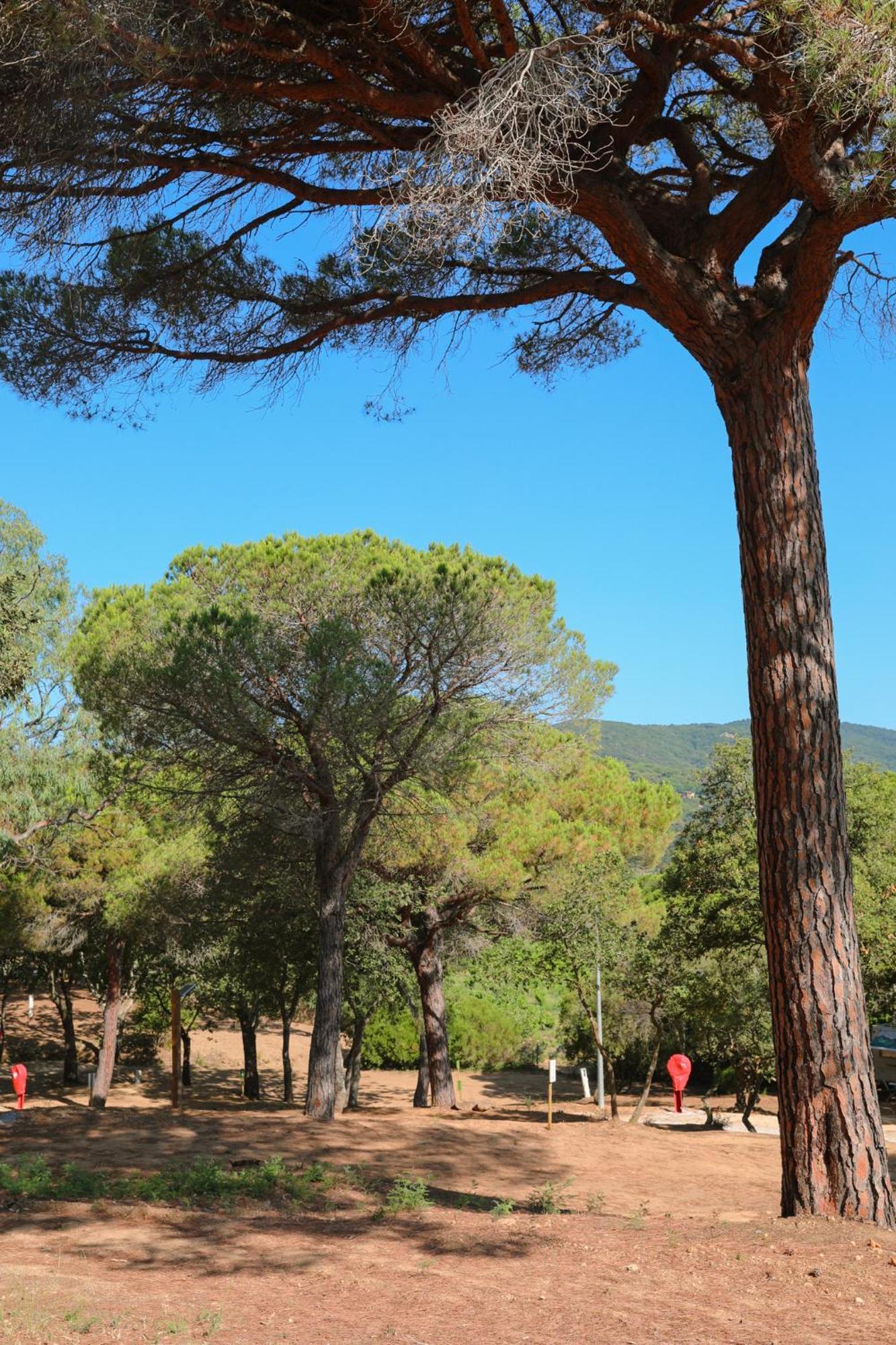 Camping Ladouceur Ramatuelle Exterior foto