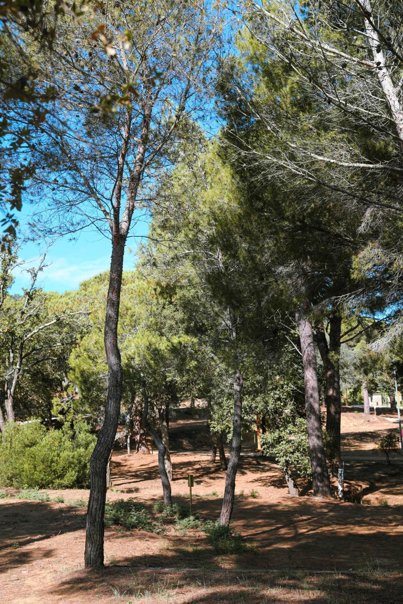 Camping Ladouceur Ramatuelle Exterior foto